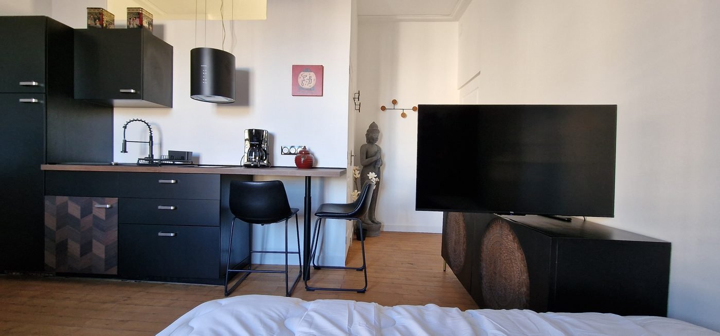 Appartement L'Asiatique à Angers centre – AirbookingAngers